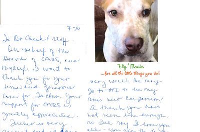A thank you cart from a dog named Tucker. Tucker is white and tan and medium sized