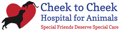 Cheek to Cheek Hospital for Animals