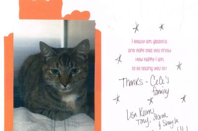 A thank you letter from a cat named CeCe